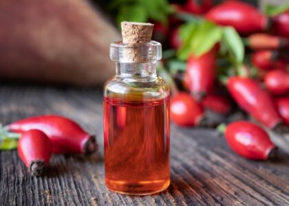 Rosehip oil rich in essential fatty acids