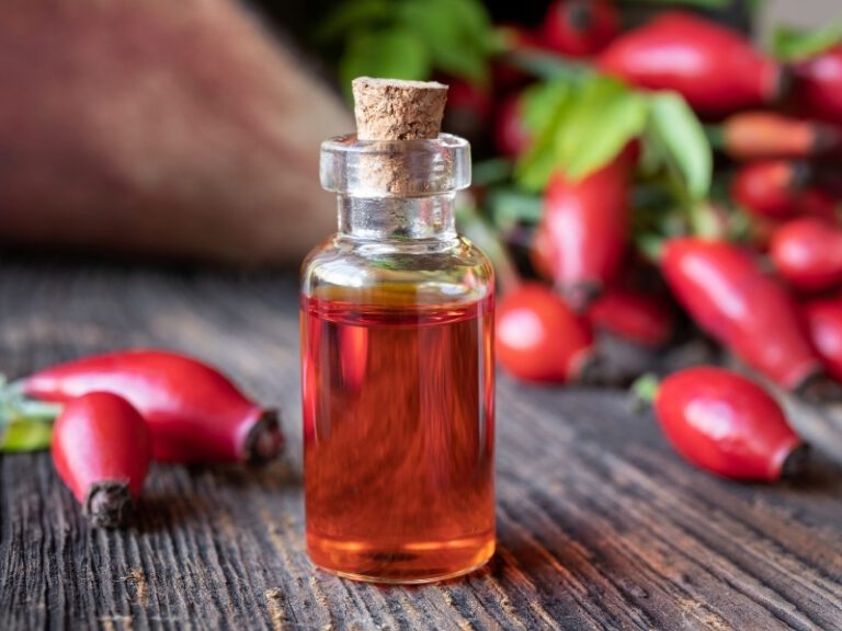 Rosehip oil rich in essential fatty acids