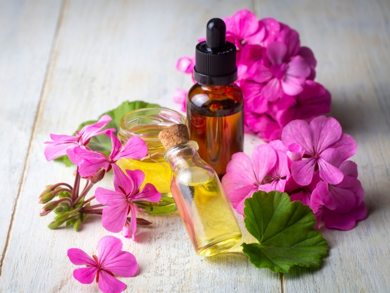 geranium oil for wrinkle reduction and skin renewal