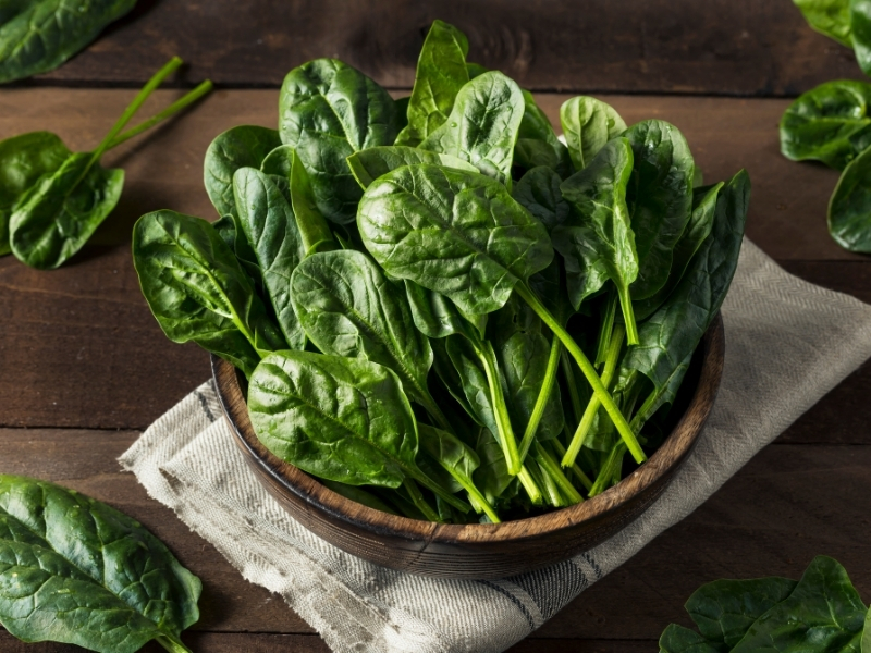 Spinach rich in antioxidants for skin radiance